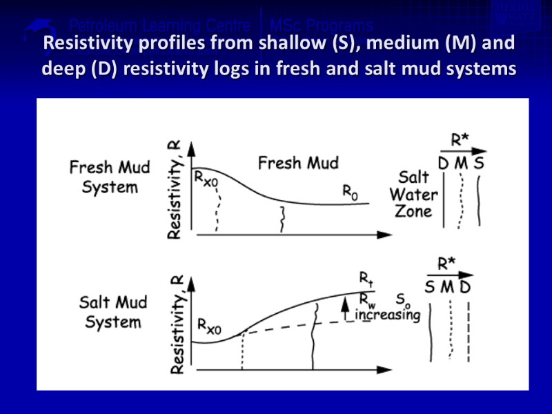 Resistivity profiles from shallow (S), medium (M) and deep (D) resistivity logs in fresh